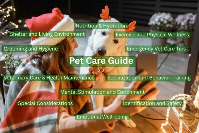 A Pet Care Tips