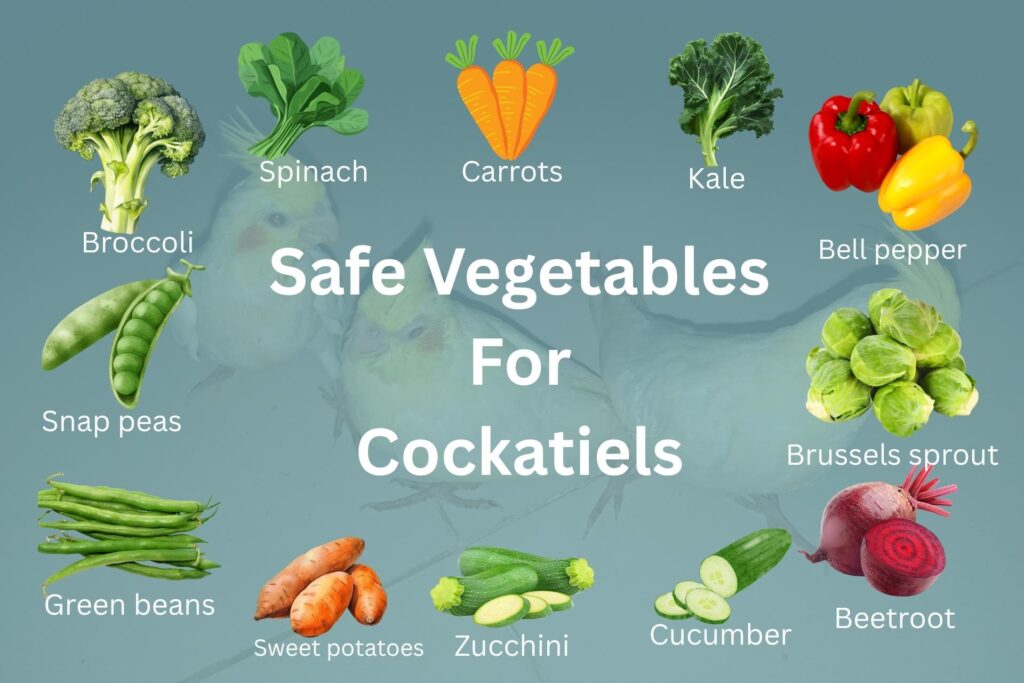 Safe Vegetables For Cockatiels Cockatiel Bird Food List Chart