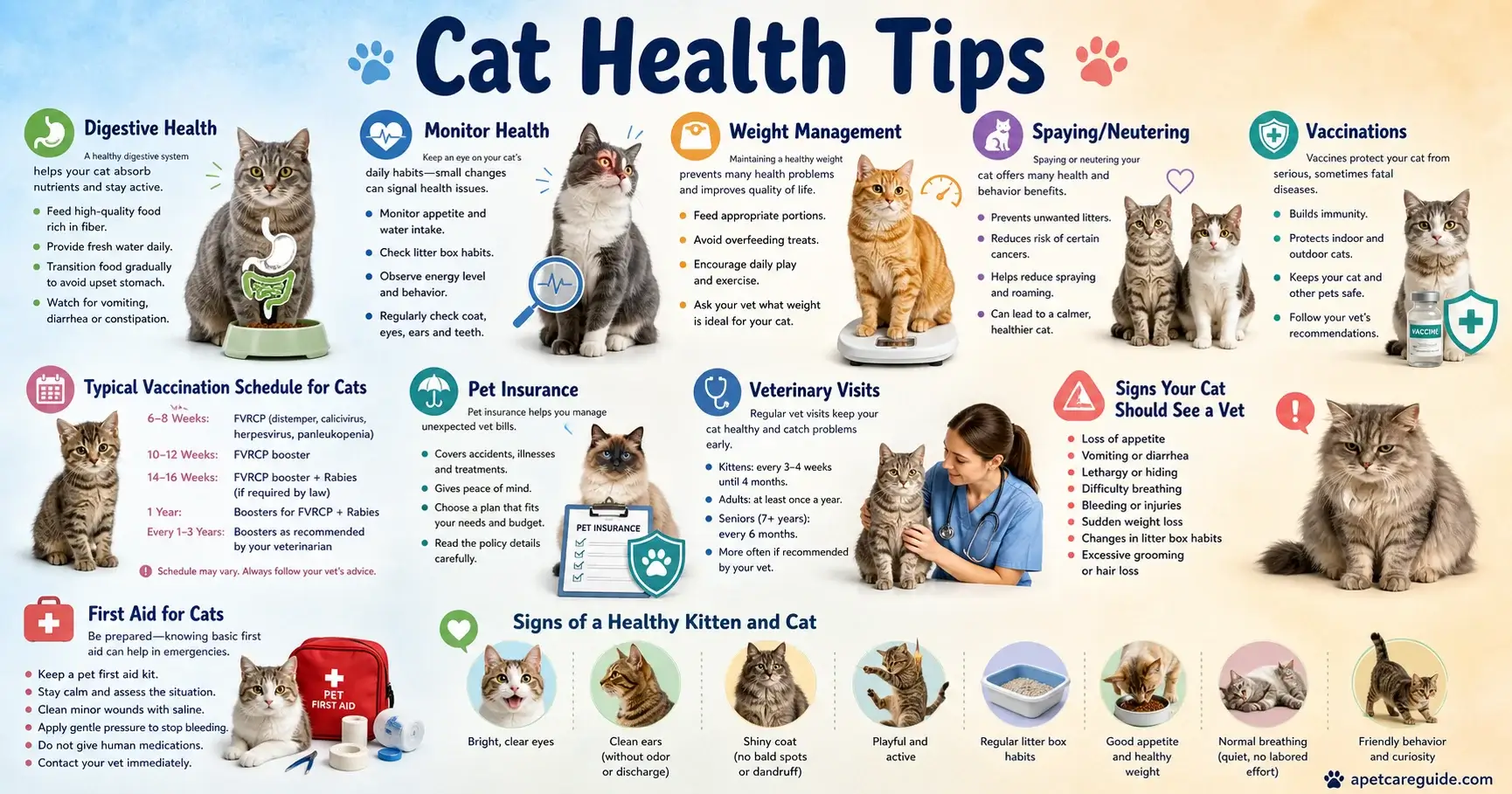Cat Health Care Tips