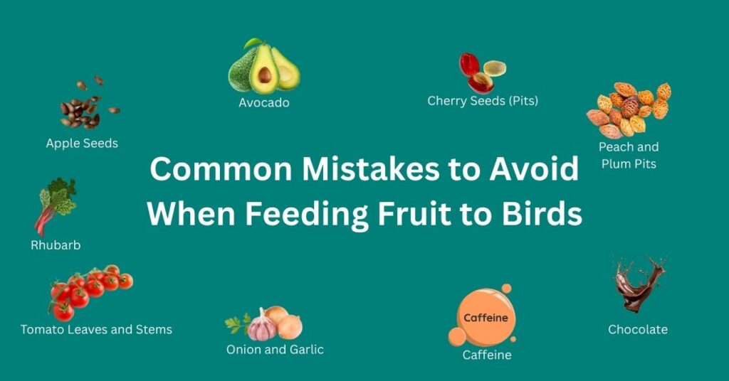 Avoid When Feeding Fruit to Birds