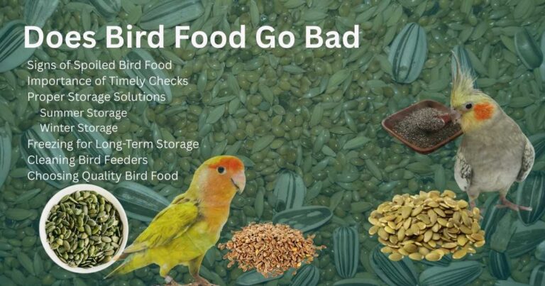 Does Bird Food Go Bad