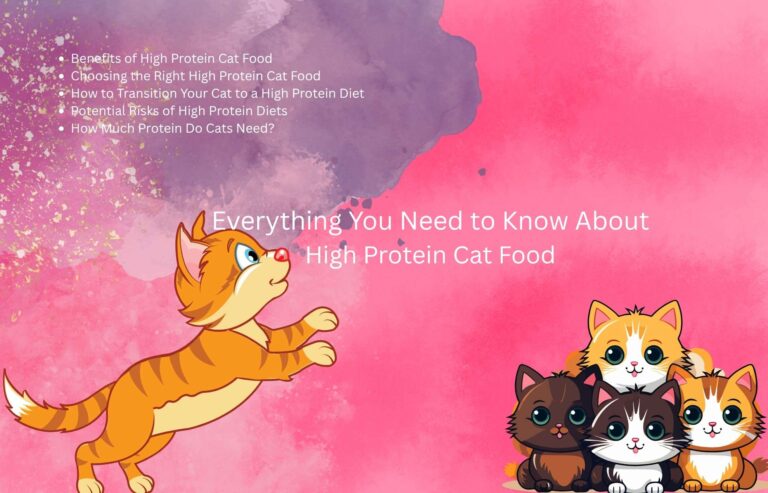 High Protein Cat Food