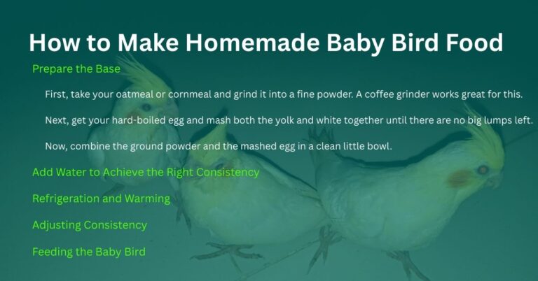 How to Make Baby Bird Food