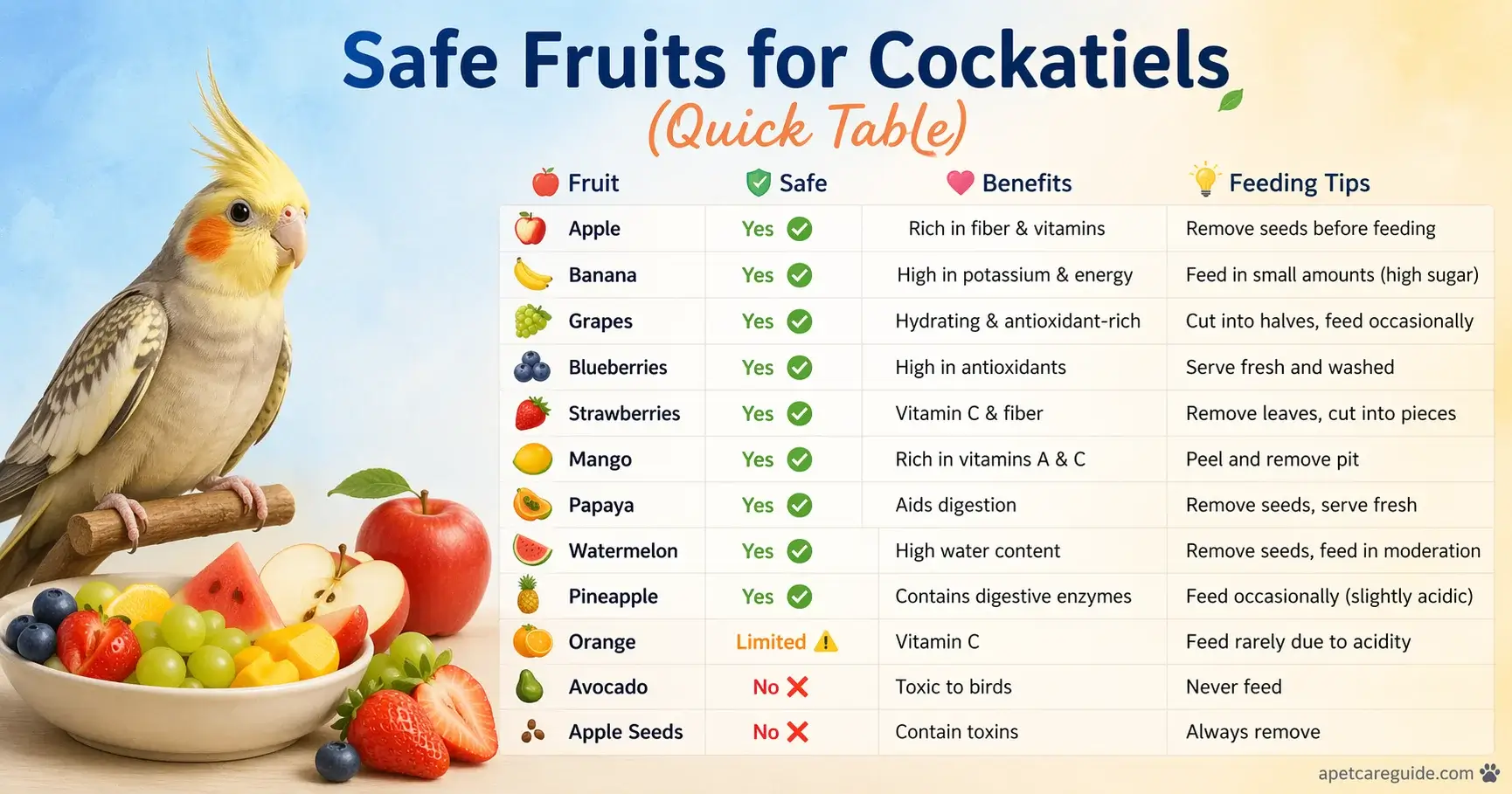 Safe Fruits list for Cockatiels