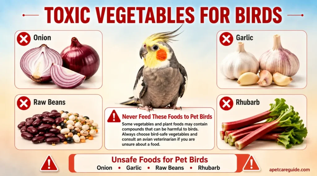 Toxic Vegetables for Birds Infographic showing toxic vegetables and foods that birds should never eat, including onions, garlic, raw beans, and rhubarb.