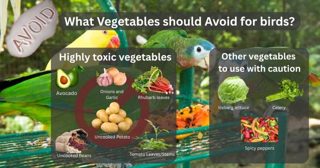 What Vegetables should Avoid for birds What Vegetables shouldn't eat for birds
