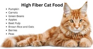 high fiber cat food