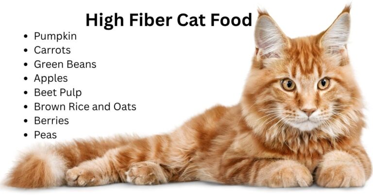 high fiber cat food