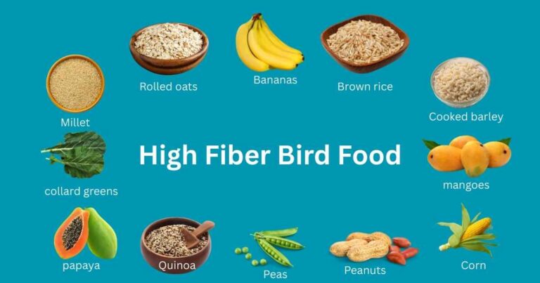 High Fiber Bird Food