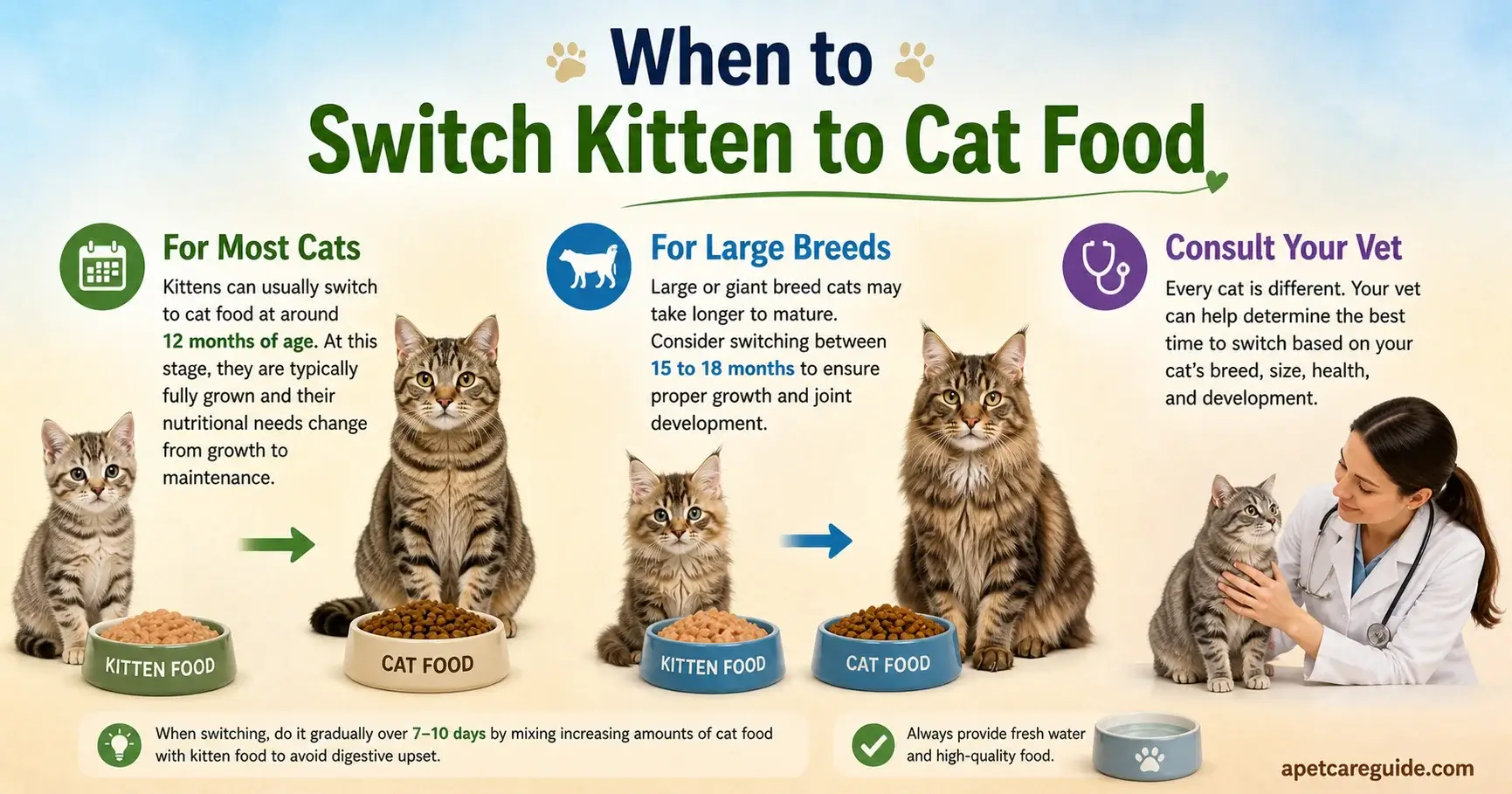Large Breeds