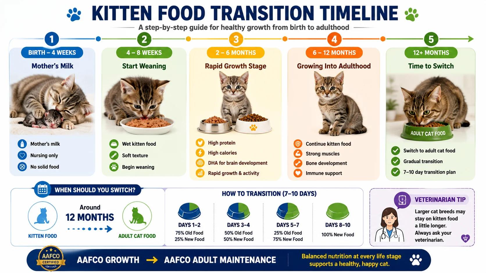 Kitten food transition timeline infographic showing when kittens should switch from mother's milk to wet food, kitten food, and adult cat food at different life stages.