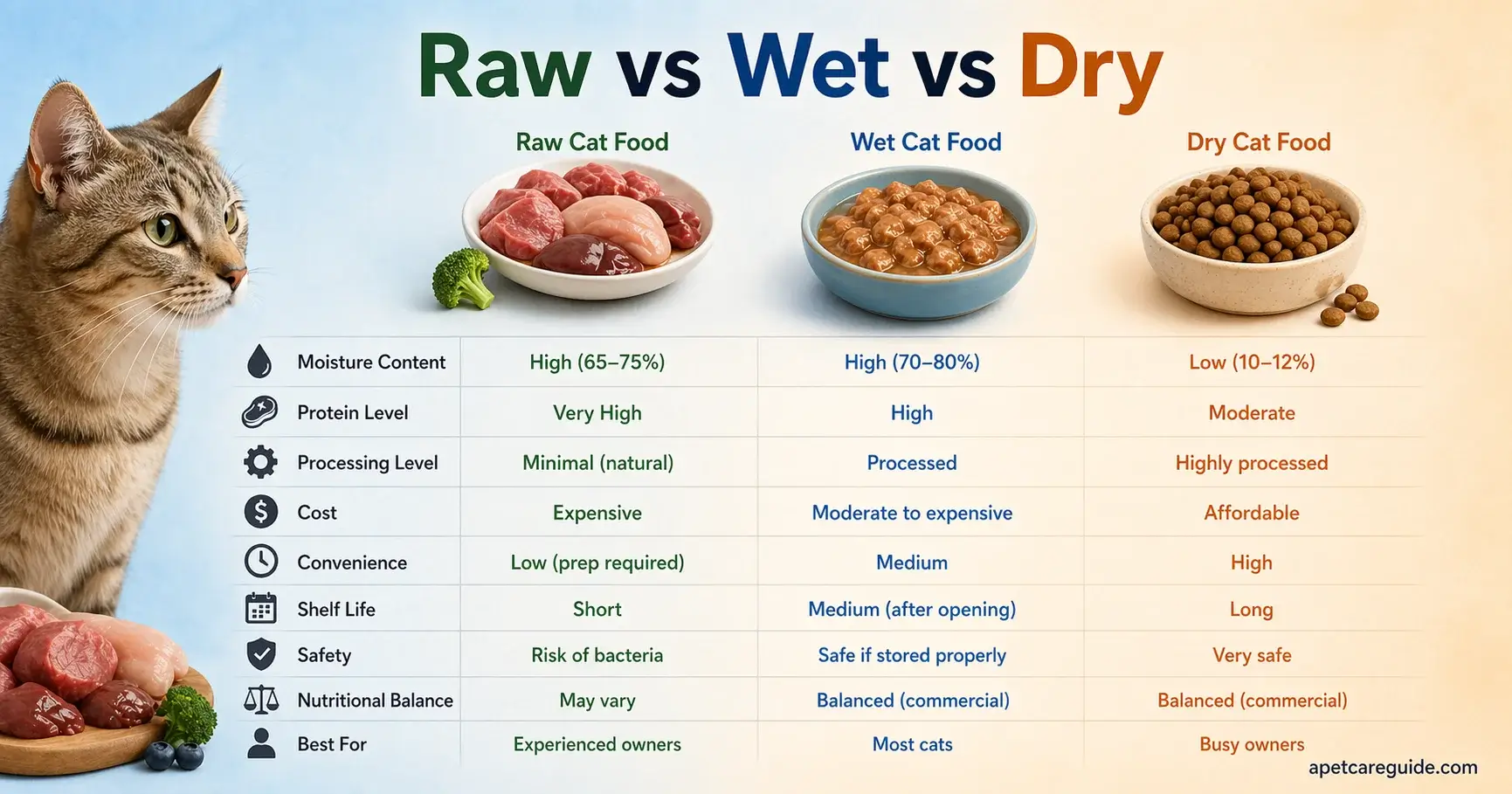 Raw vs Wet vs Dry Cat Food Comparison