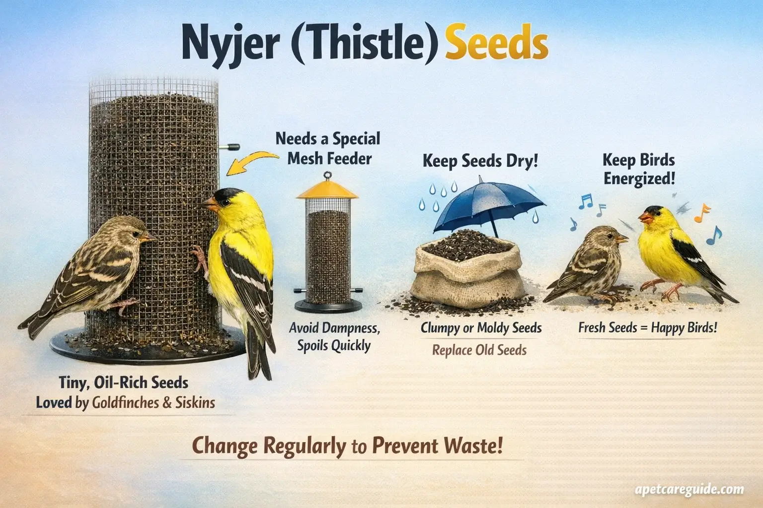 Nyjer Seeds