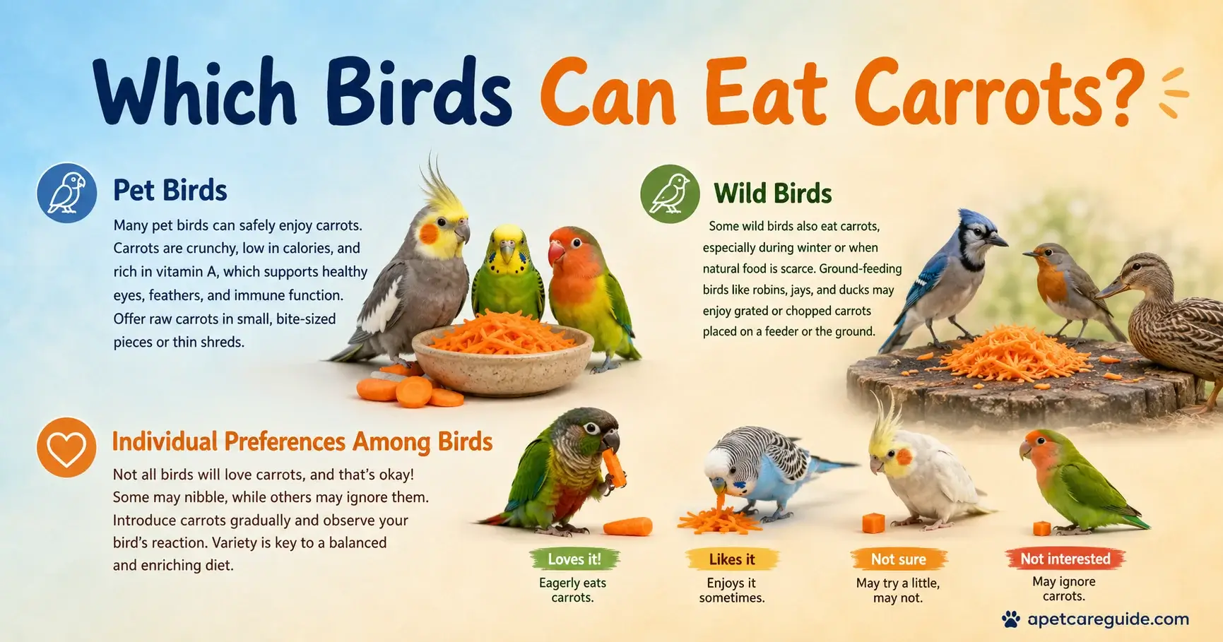 can birds eat carrots celery
