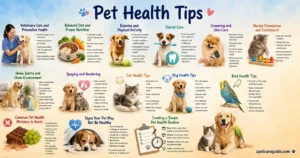 Pet Health Tips