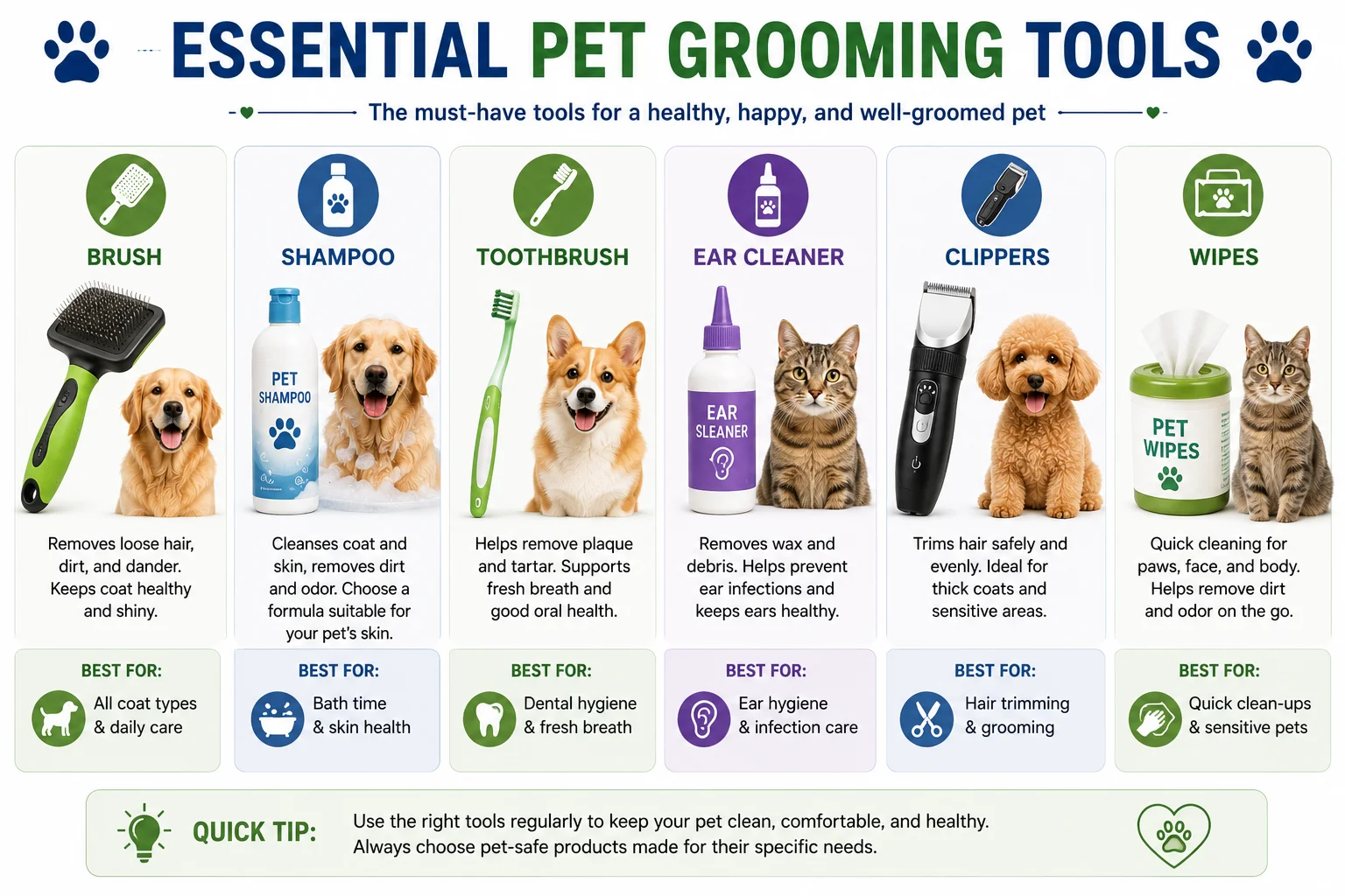 Essential pet grooming tools infographic showing brush, pet shampoo, toothbrush, ear cleaner, clippers, and grooming wipes for dogs and cats