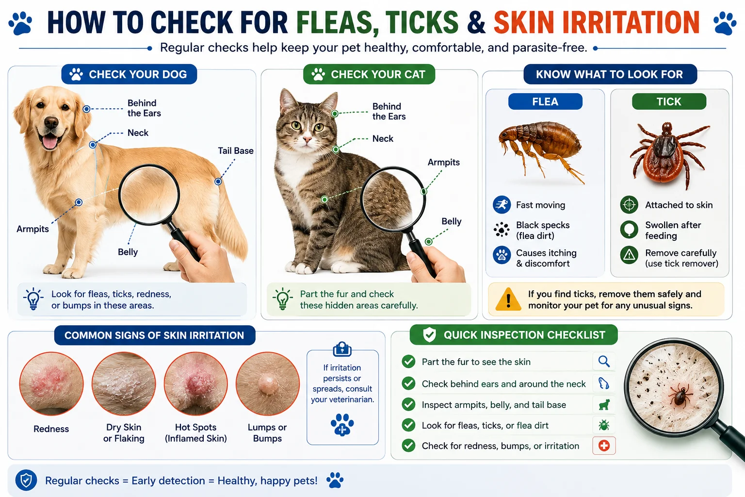Illustration showing how to inspect a dog and cat for fleas, ticks, skin irritation, and parasites using a magnifying glass during routine grooming.