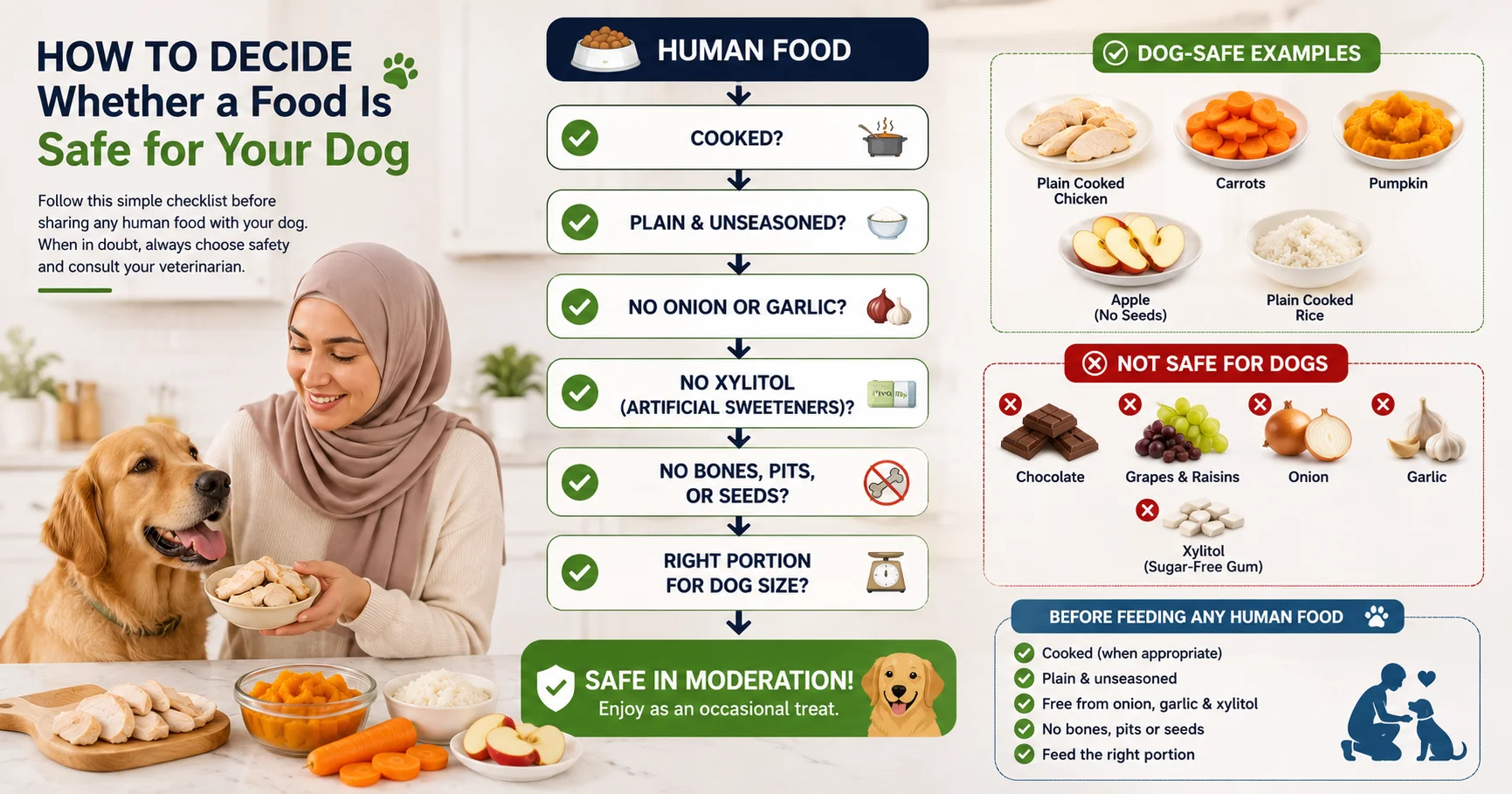 Infographic showing a step-by-step checklist to decide whether a human food is safe for dogs, including cooking, seasoning, toxic ingredients, portion size, and examples of safe and unsafe foods.