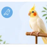 birds care tips