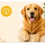 dog care tips