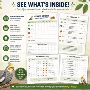 Cockatiel diet chart printable weekly feeding planner PDF